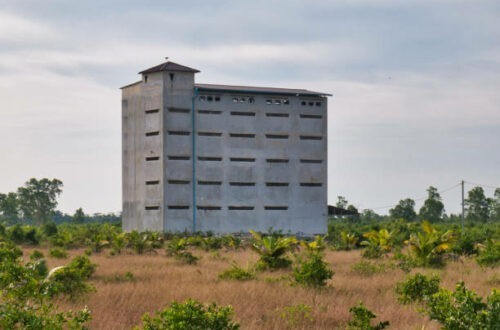 Vì sao yến sào miền Trung ngon hơn, nhà yến Phú Yên