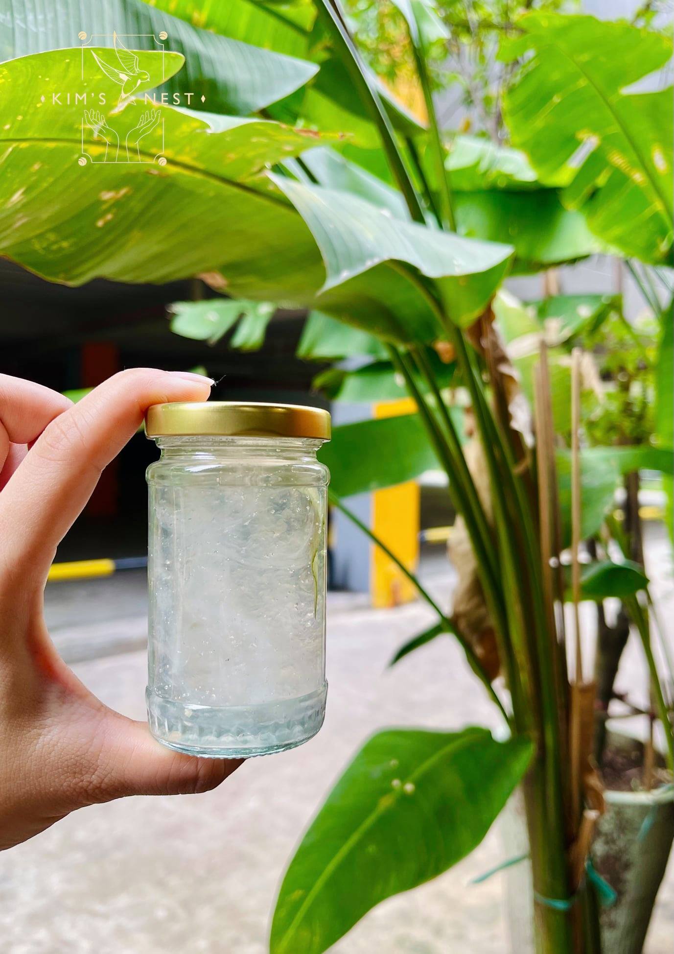 Hình ảnh yến chưng bên trong lọ