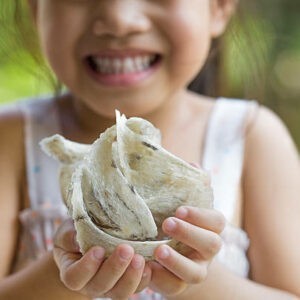 Tổ yến thô mới được thu hái