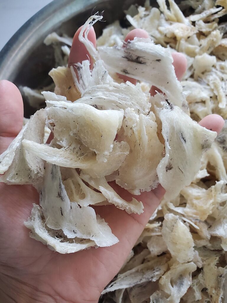 Chân yến thô chưa làm sạch lông