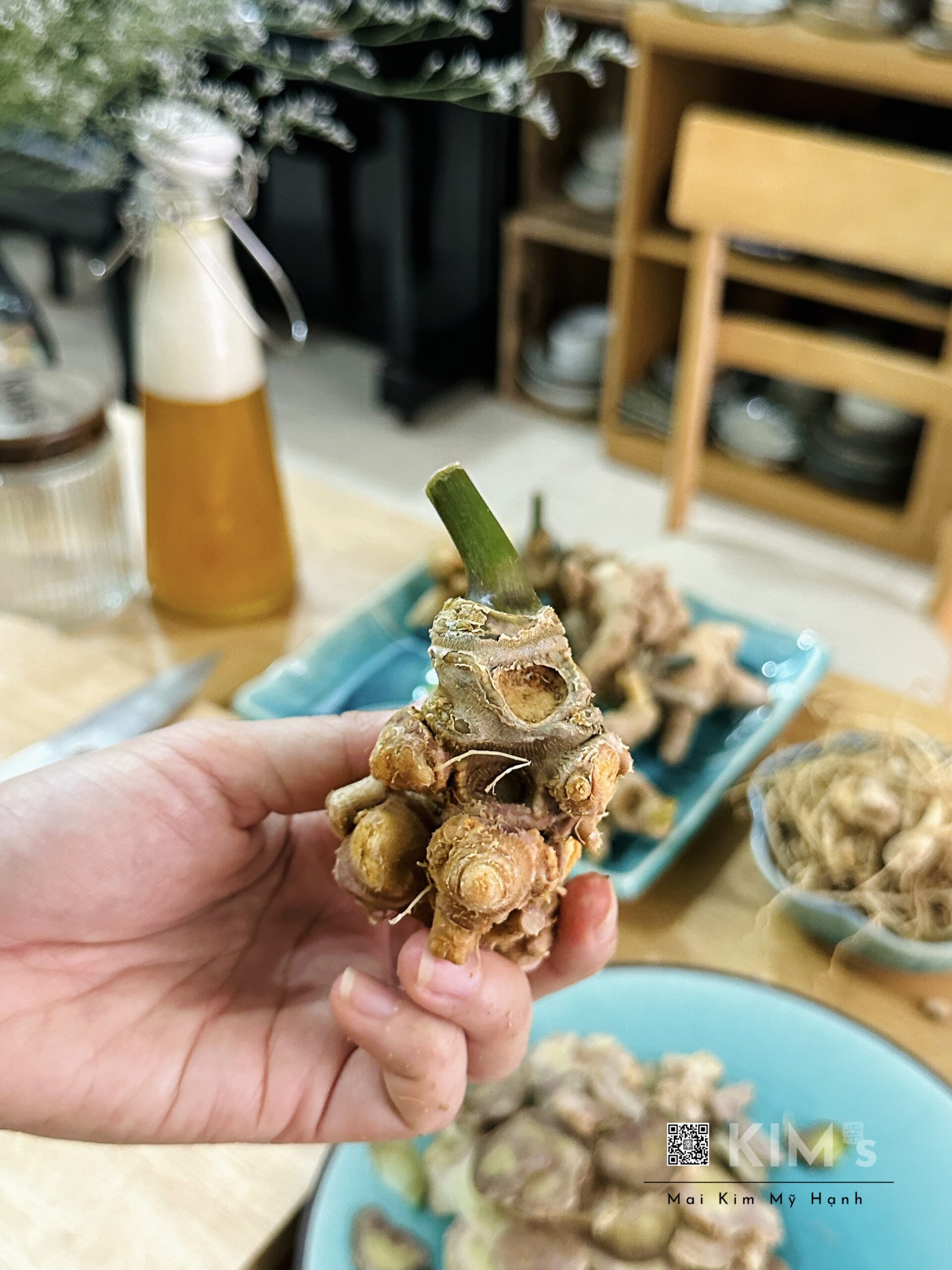 Tìm hiểu thành phần của một số loại sâm Việt Nam - Sâm Lai Châu ngâm mật ong