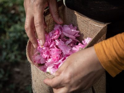 Ưu điểm của nước hoa hồng thiên nhiên