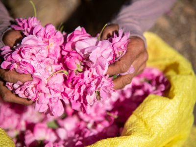 nuoc-hoa-hong-cho-da-nhay-cam