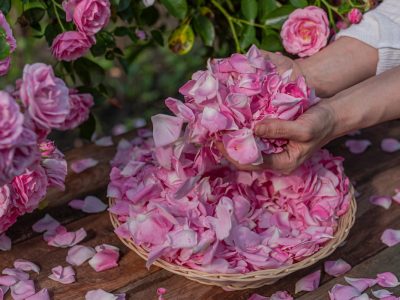 Các cách sử dụng nước cất hoa hồng