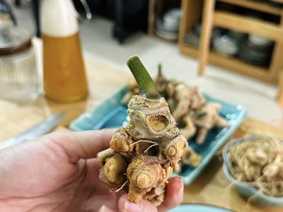 Tìm hiểu thành phần của một số loại sâm Việt Nam - Sâm Lai Châu ngâm mật ong