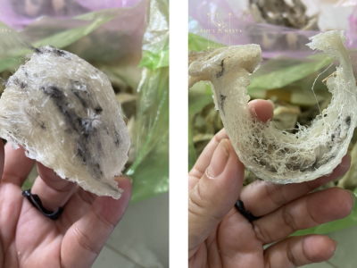 Nhận xét về chất lượng, hương vị và giá yến sào miền Trung