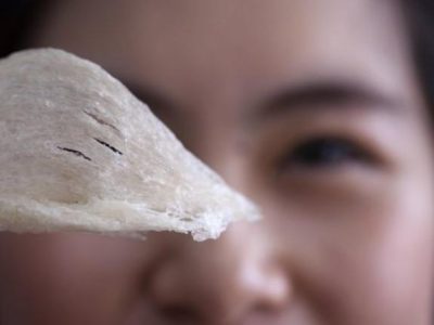 Tổ yến rút lông khô tiêu chuẩn xuất khẩu