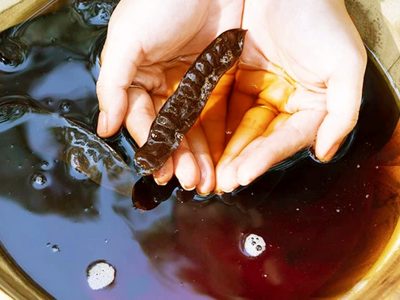 nước gội bồ kết sau khi pha loãng bởi Cao gội Mộc