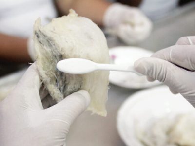 sơ chế làm sạch tổ yến không ngâm nước