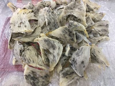 Tổ yến nhiều lông, kém chất lượng, hàng loại